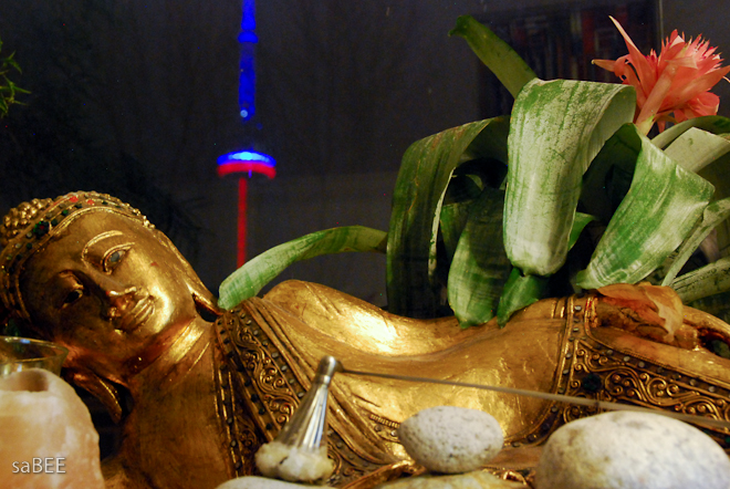 buddha and the CN tower