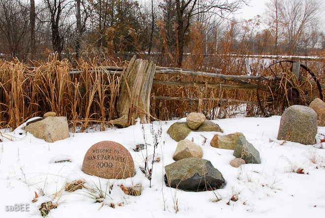 Ivan's garden in winter