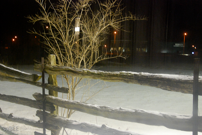 winter