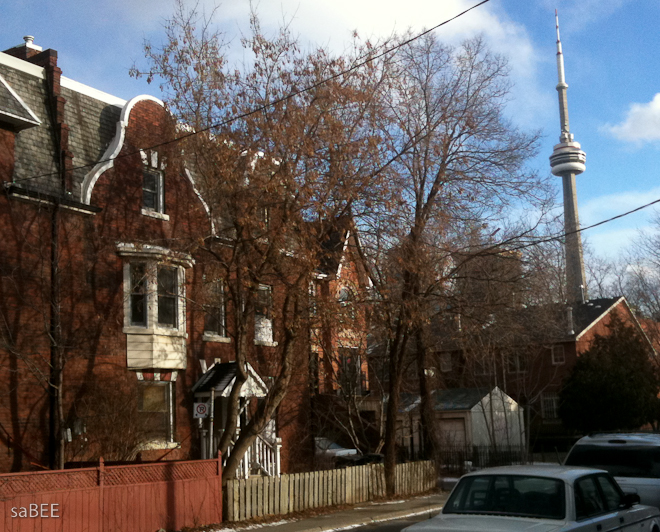 CN tower view from neighborhood