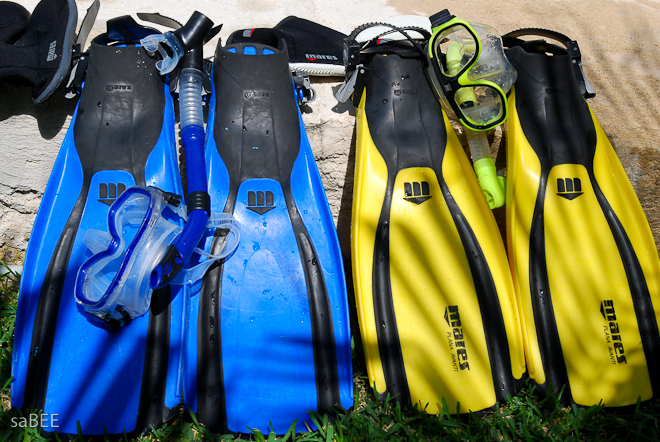 snorkel gear