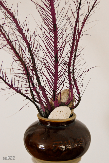 sea fan coral