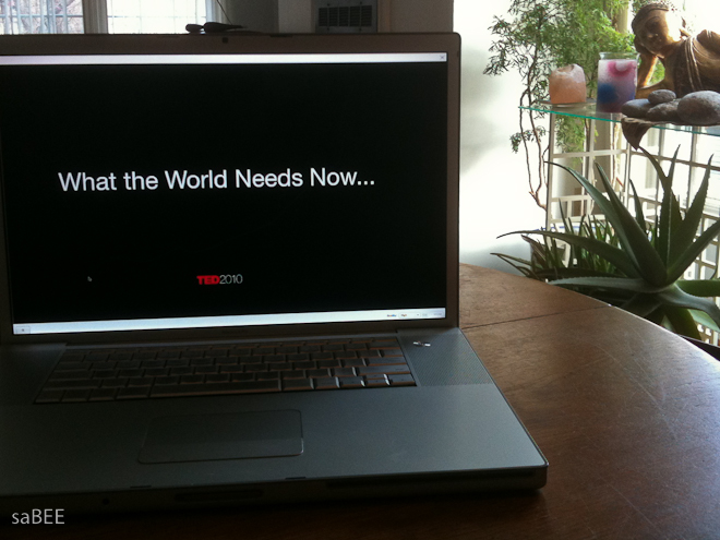 watching TED conference 2010