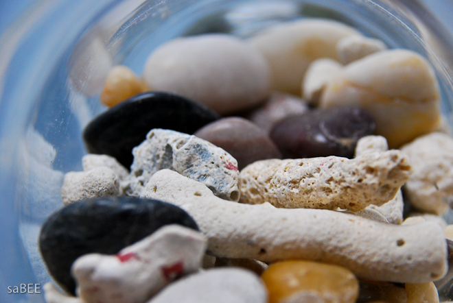 rocks