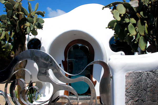 Galapagos store