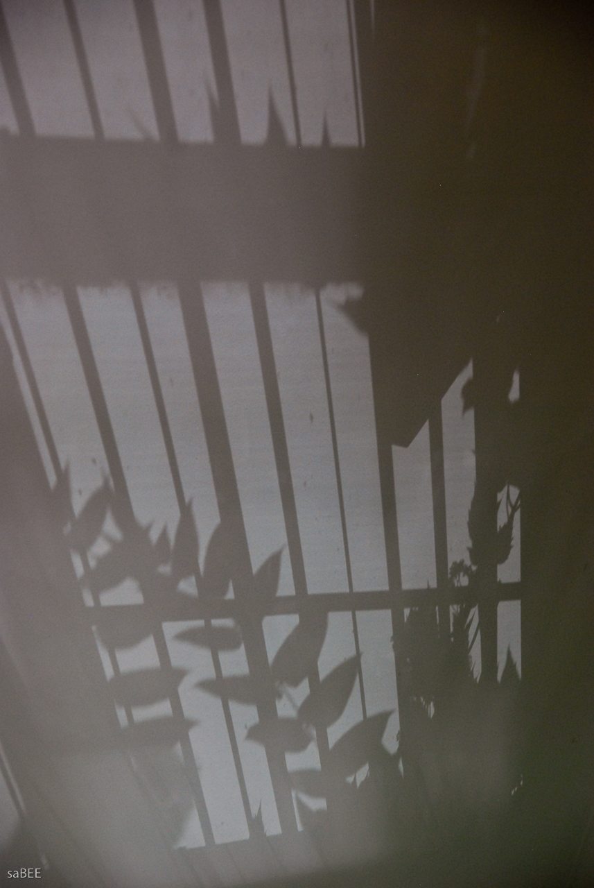 164