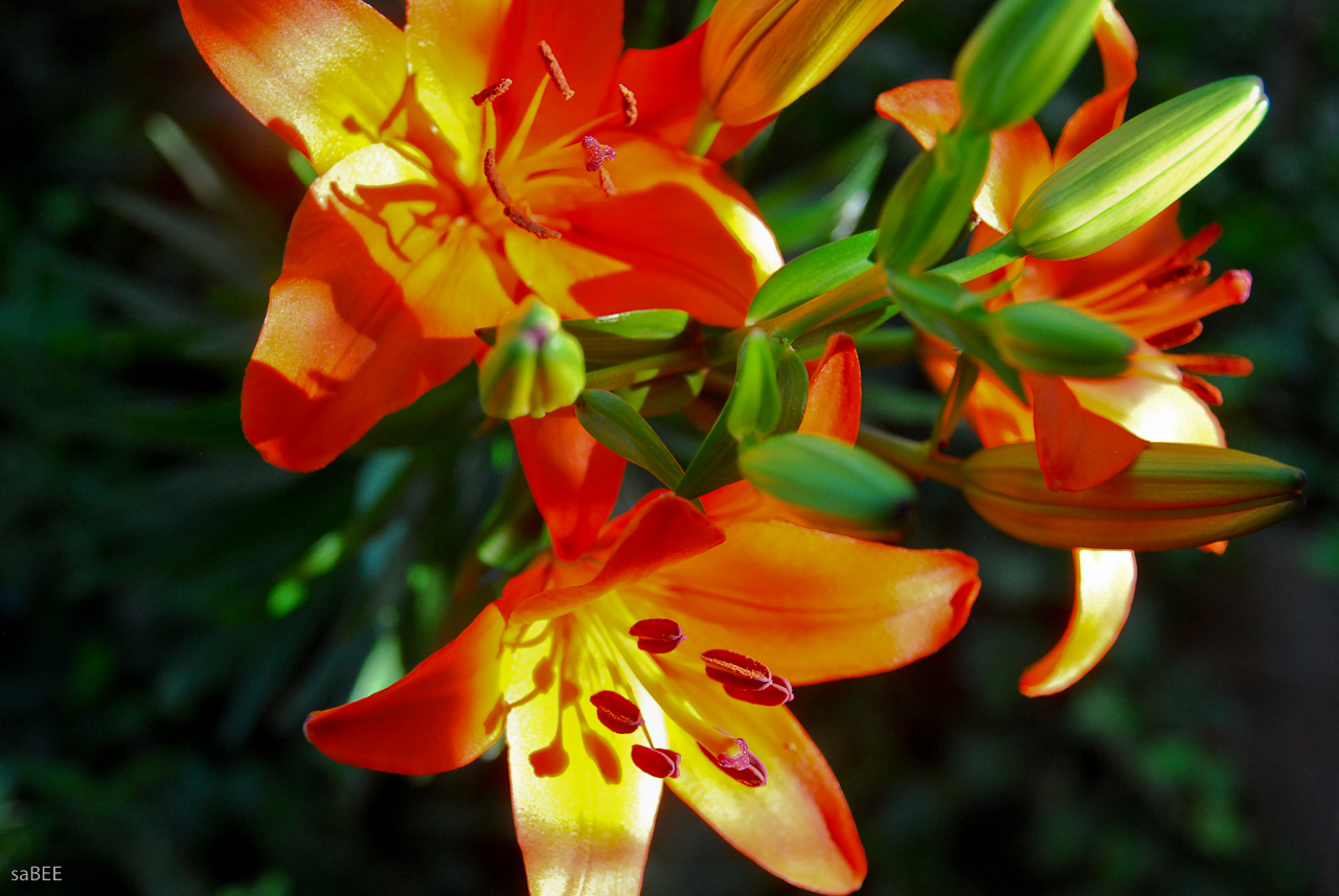170