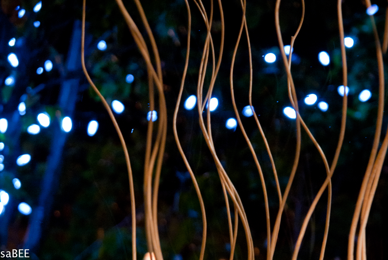 lights