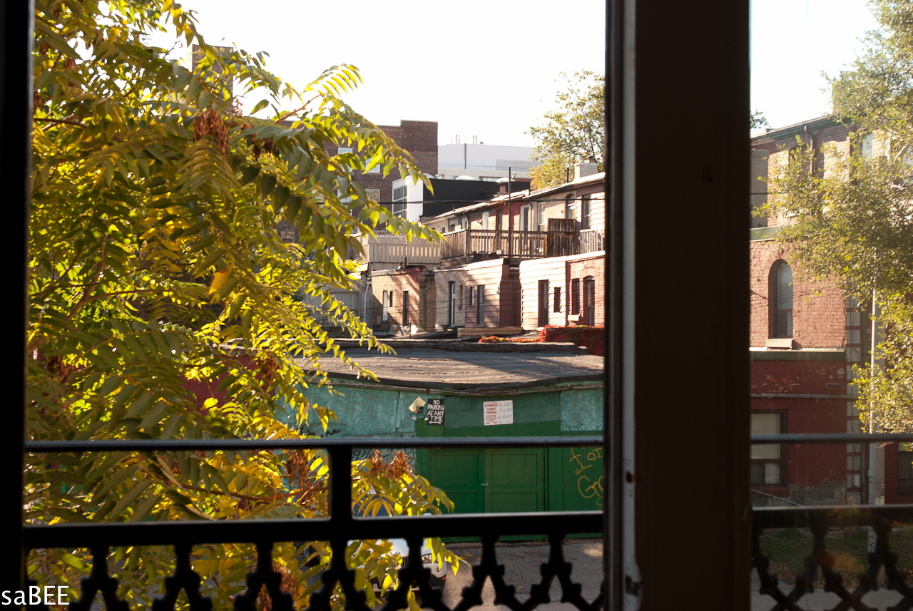 view from the kitchen