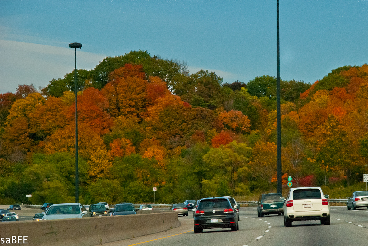 autumn colors