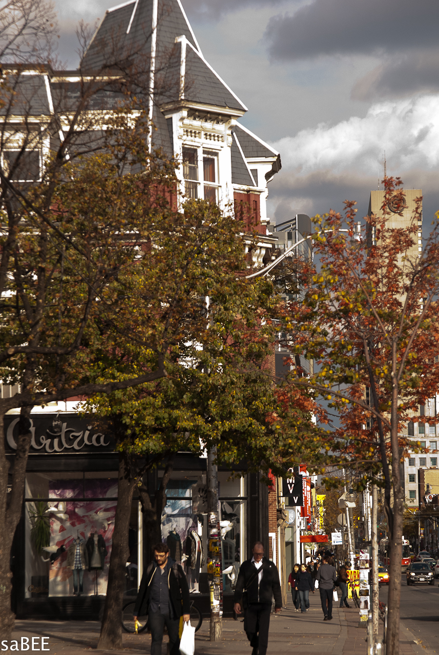 Autumn Queen West Toronto